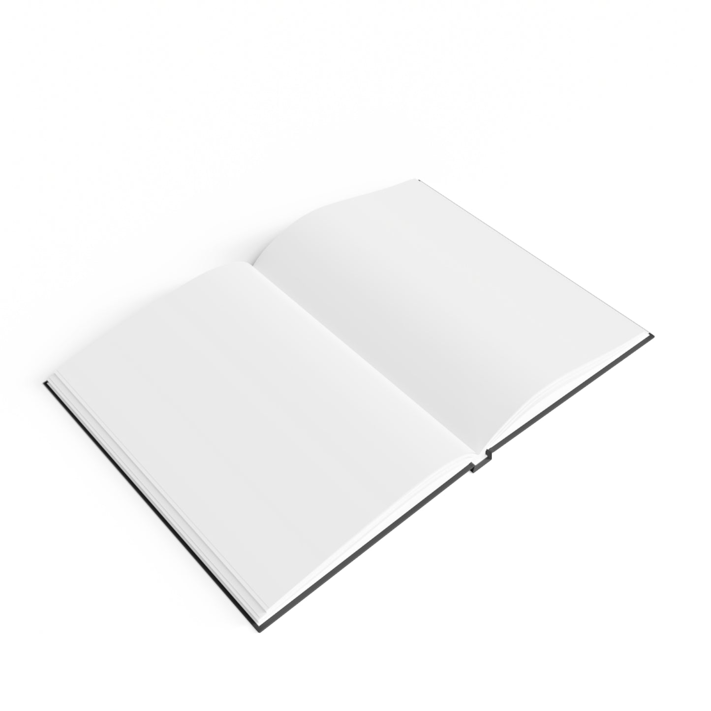 The Boondocks Black Book #1